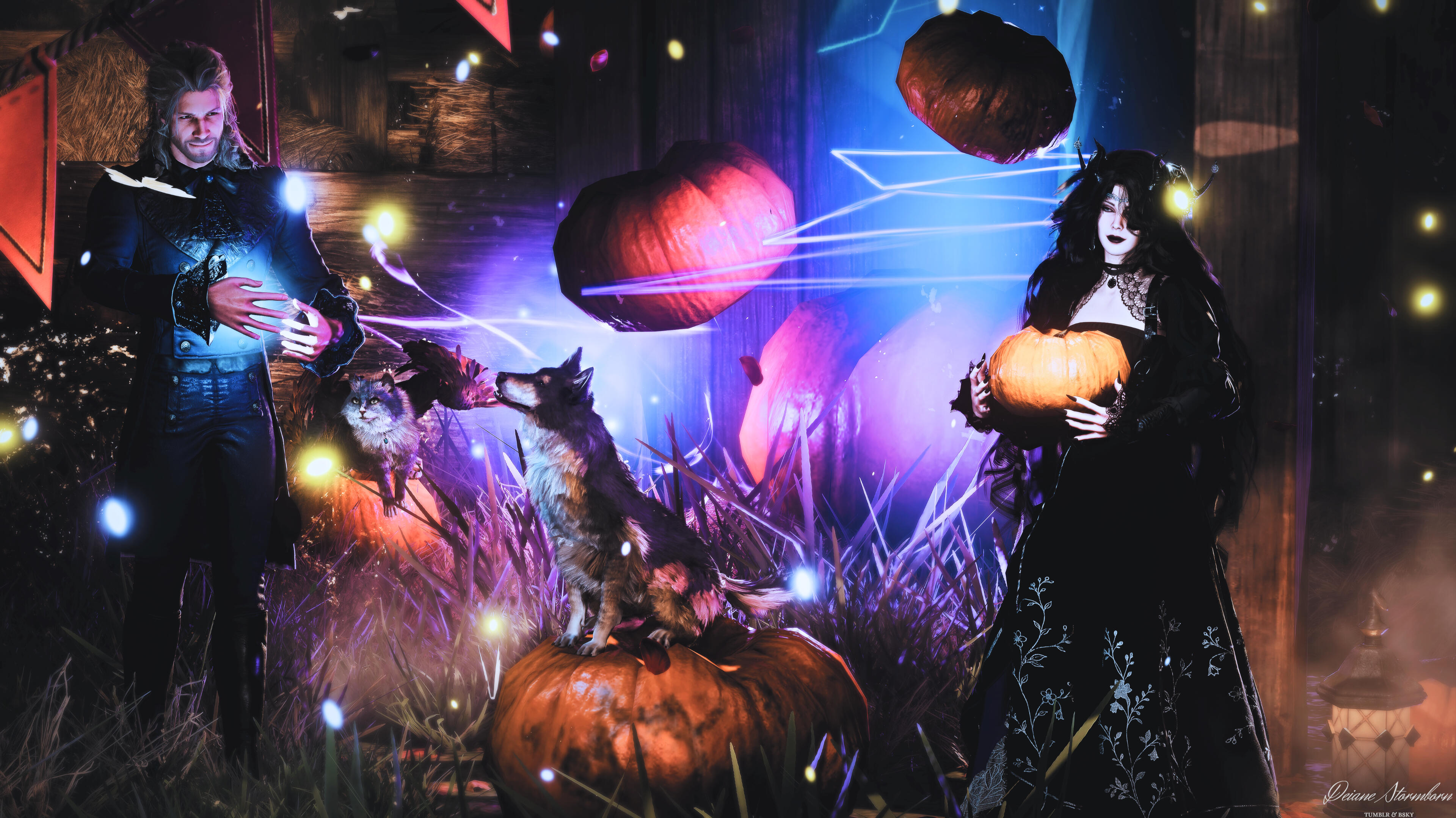 Pumpkin Patch